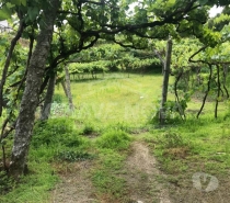 Terrenos Castelo de Paiva - Fotos para Castelo-de-paiva-Quinta em Bairros Castelo de Paiva (SD 02031)